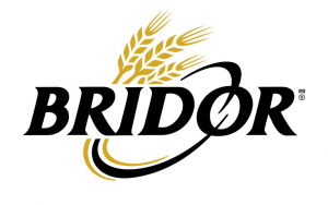 Bridor logo