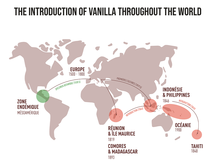 vanilla worldwide