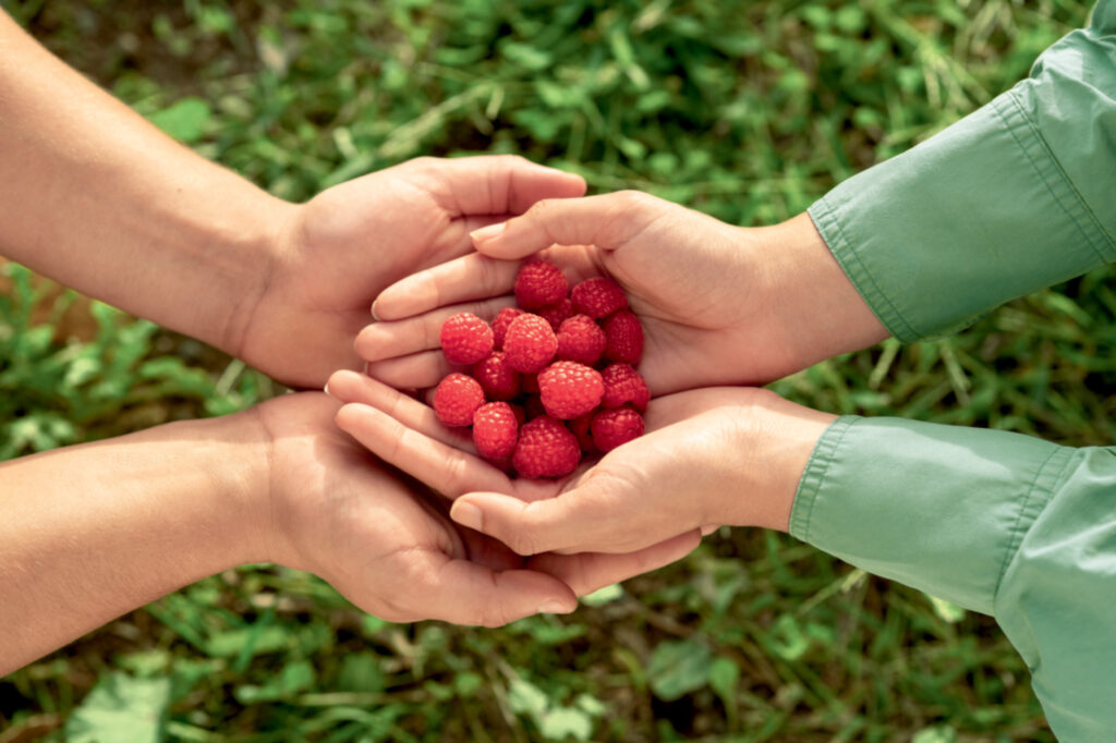 Les vergers Boiron fruit